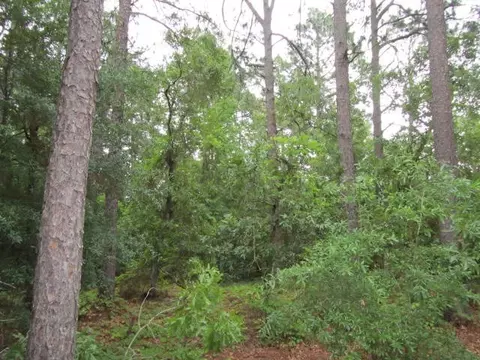 20 Mcleod Rd, Pinehurst, NC 28374 photo 5