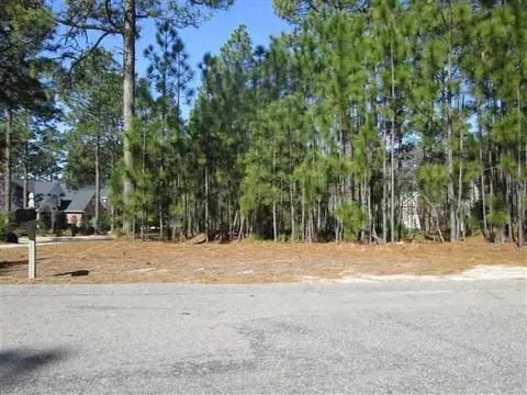 48 Dungarvan Ln, Pinehurst, NC 28374 photo 2
