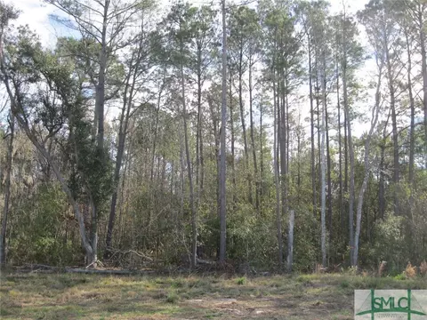 238 Veranda Ave, Guyton, GA 31312 photo 17