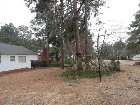 309 Mckinnon St, Hamlet, NC 28345 photo 2