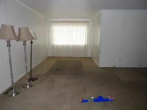 309 Mckinnon St, Hamlet, NC 28345 photo 7
