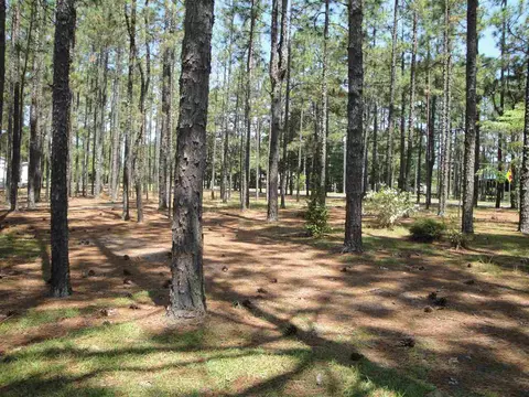 570 W Baltimore Ave, Pinebluff, NC 28373 photo 14