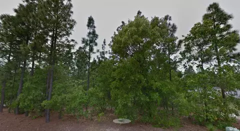 150 Devos Dr, Rockingham, NC 28379 photo 1