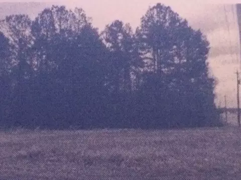 280 N Main St, Biscoe, NC 27209 photo 1