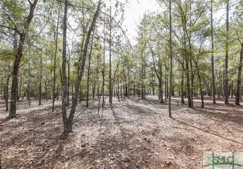 286 Boone Rd, Guyton, GA 31312 photo 23
