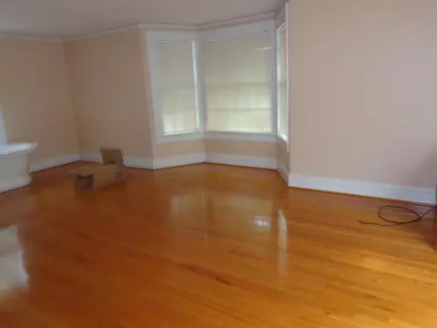 517 Madison Ave, Hamlet, NC 28345 photo 4