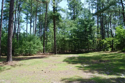 111 Memory, Aberdeen, NC 28315 photo 15
