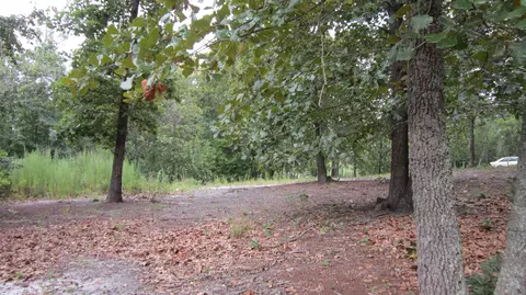 1400 Burning Tree Rd, Pinehurst, NC 28374 photo 8