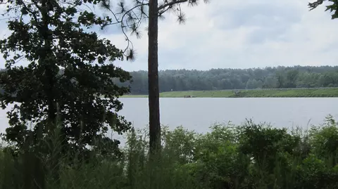 1400 Burning Tree Rd, Pinehurst, NC 28374 photo 3