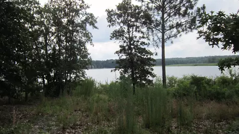 1400 Burning Tree Rd, Pinehurst, NC 28374 photo 4
