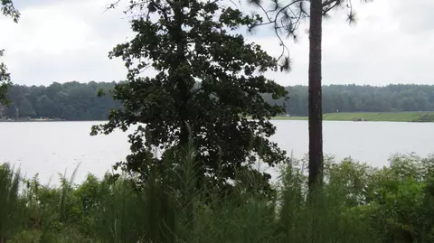 1400 Burning Tree Rd, Pinehurst, NC 28374 photo 5