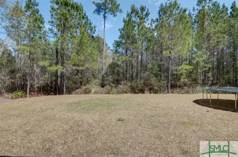 111 Clover Point Cir, Guyton, GA 31312 photo 27