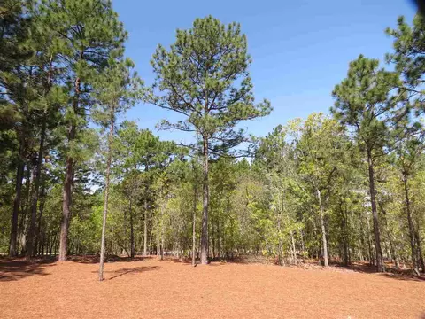 2 Pierce Ct, Pinehurst, NC 28374 photo 24