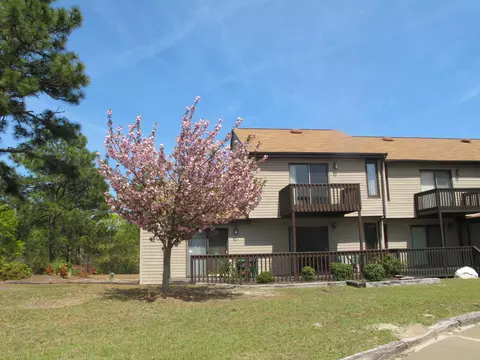 234 Persimmon Dr # -A, Pinebluff, NC 28373 photo 26
