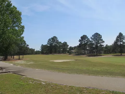234 Persimmon Dr # -A, Pinebluff, NC 28373 photo 29
