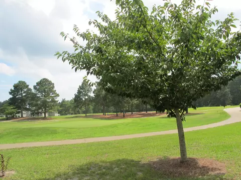 234 Persimmon Dr # -A, Pinebluff, NC 28373 photo 28