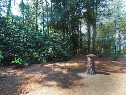 187 Turner Rd, Pinehurst, NC 28374 photo 25