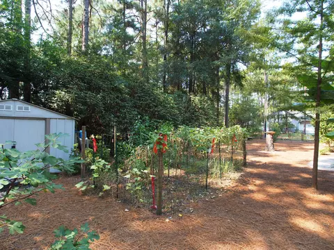 187 Turner Rd, Pinehurst, NC 28374 photo 24