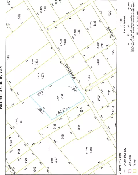 129 Brandon Rd, Hamlet, NC 28345 photo 2