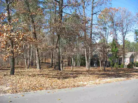 60 Kilbride Dr, Pinehurst, NC 28374 photo 8