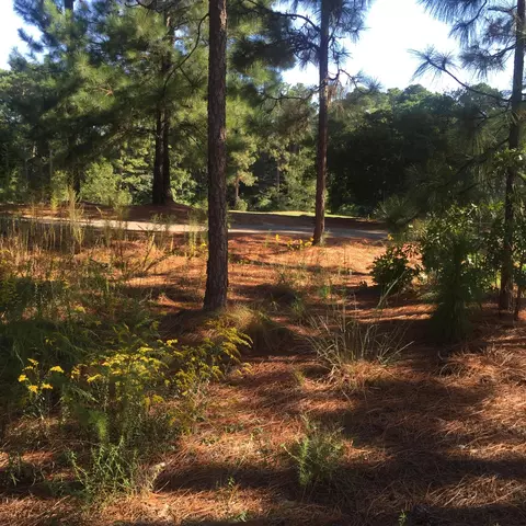 427 Meyer Farm Dr, Pinehurst, NC 28374 photo 4