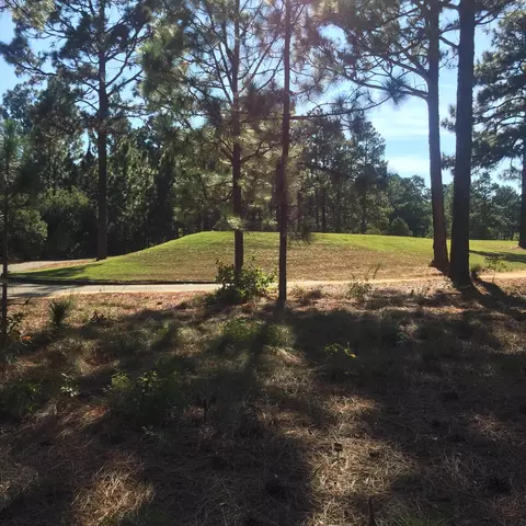 427 Meyer Farm Dr, Pinehurst, NC 28374 photo 2