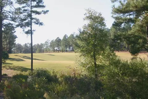 424 Meyer Farm Dr, Southern Pines, NC 28387 photo 23