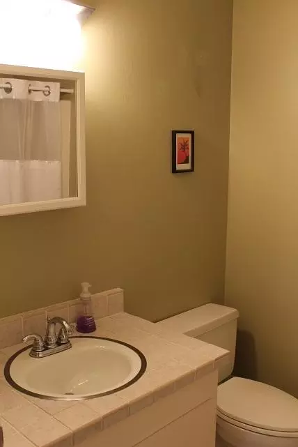 11 Salem Ln, Pinehurst, NC 28374 photo 16