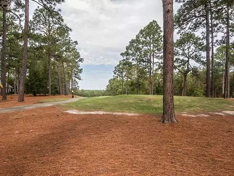 78 Mcmichael Dr, Pinehurst, NC 28374 photo 23