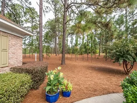 78 Mcmichael Dr, Pinehurst, NC 28374 photo 25
