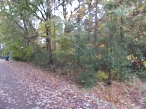 211 Nancy St, Biscoe, NC 27209 photo 1
