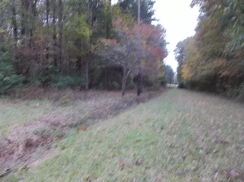 211 Nancy St, Biscoe, NC 27209 photo 2