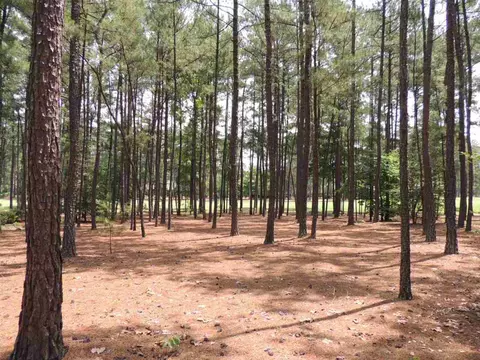 21 Mcmichael Dr, Pinehurst, NC 28374 photo 8