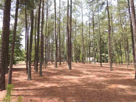 21 Mcmichael Dr, Pinehurst, NC 28374 photo 9