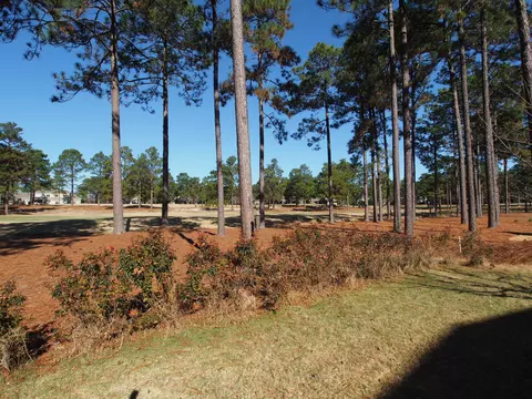 18 Dungarvan Ln, Pinehurst, NC 28374 photo 26