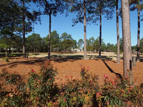 18 Dungarvan Ln, Pinehurst, NC 28374 photo 27