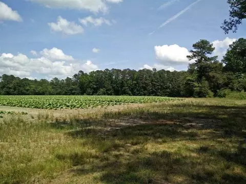 269 Baker Rd, Cameron, NC 28326 photo 4