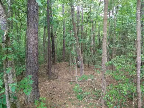 269 Baker Rd, Cameron, NC 28326 photo 3