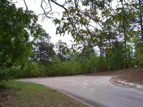 6 Birdie Ct, Foxfire, NC 27281 photo 4