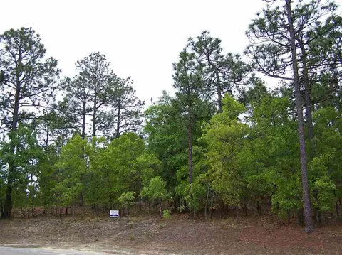 6 Birdie Ct, Foxfire, NC 27281 photo 5
