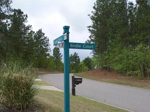 6 Birdie Ct, Foxfire, NC 27281 photo 2
