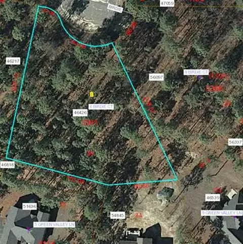 6 Birdie Ct, Foxfire, NC 27281 photo 7