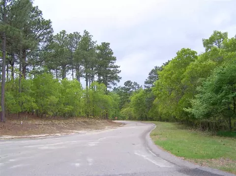 6 Birdie Ct, Foxfire, NC 27281 photo 3