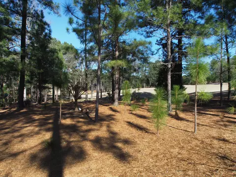 61 Kilbride Dr, Pinehurst, NC 28374 photo 28