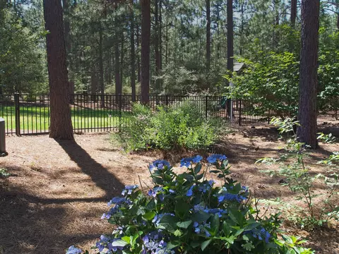 105 Tall Timbers Dr, Pinehurst, NC 28374 photo 27