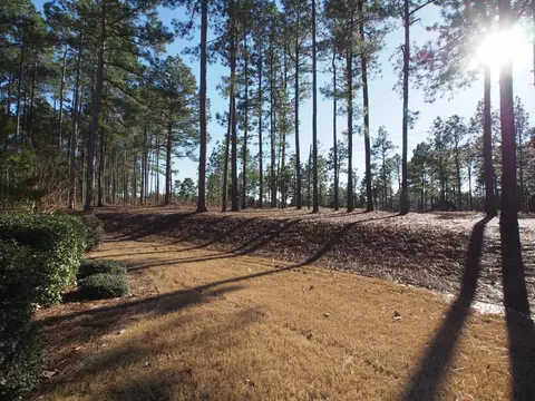 71 Greyabbey Dr, Pinehurst, NC 28374 photo 25