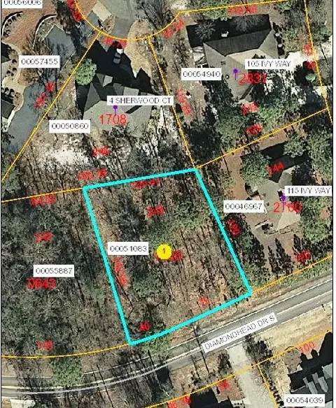 895 S Diamond Head, Pinehurst, NC 28374 photo 1