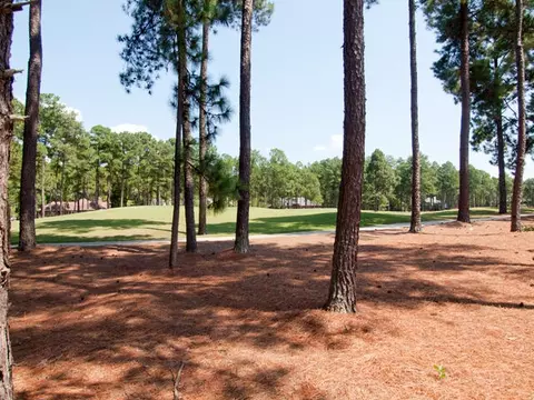 39 Mcmichael Dr, Pinehurst, NC 28374 photo 12