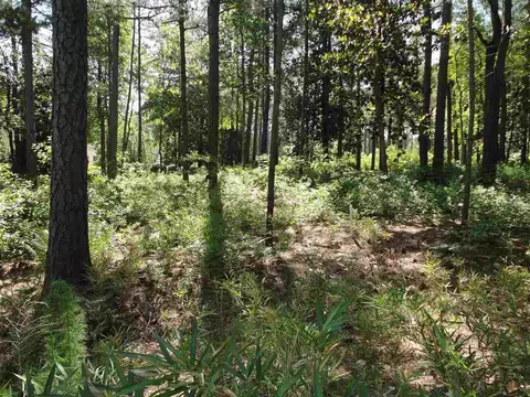 25 Lochmere Dr, Pinehurst, NC 28374 photo 2