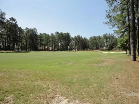 25 Lochmere Dr, Pinehurst, NC 28374 photo 9